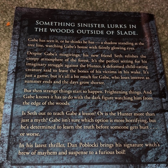 2 Books - Hidden Like Anne Frank & The Haunting of Gabriel Ashe - Picture 5 of 5